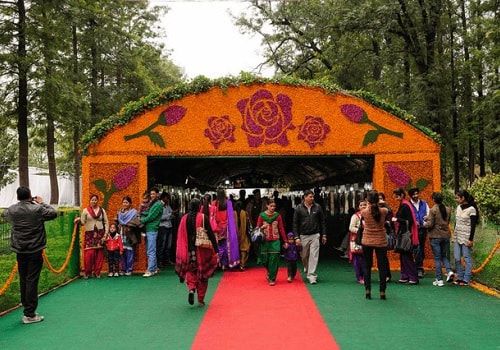 Chandigarh Rose Festival